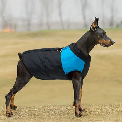 manteau-pour-chien-bleu-froid-extreme-rainkool