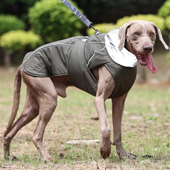 Manteau pour chien chaud confortable col montant et bande réfléchissante