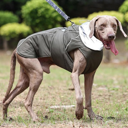 Manteau pour chien chaud confortable col montant et bande réfléchissante