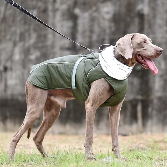 Manteau pour chien chaud durable col montant et bande réfléchissante