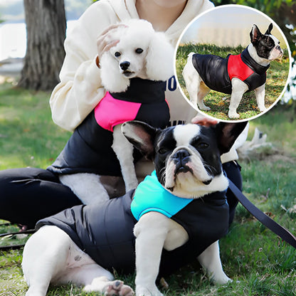 Manteau pour chien | Rainkool™
