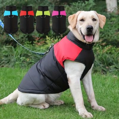 Manteau pour chien | Rainkool™