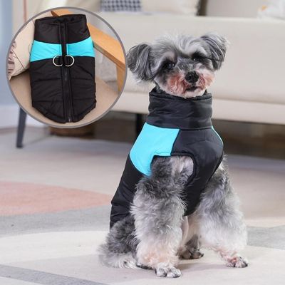 manteau-pour-chien-design-bleu