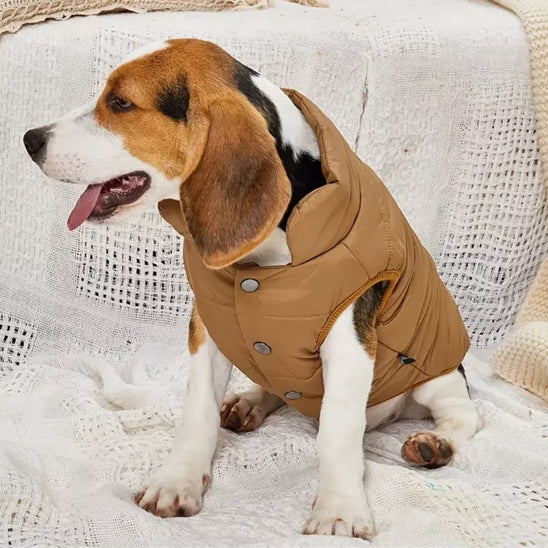 manteau-pour-chien-impermeable-marron-cosytail
