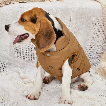 manteau-pour-chien-impermeable-marron-cosytail