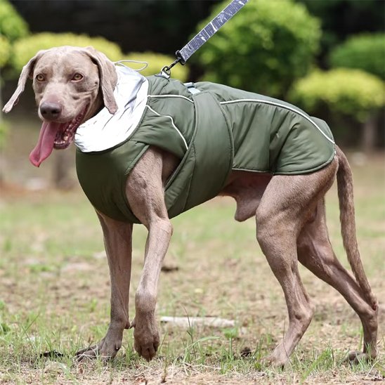 Manteau pour chien kaki doux col montant confortable chaud
