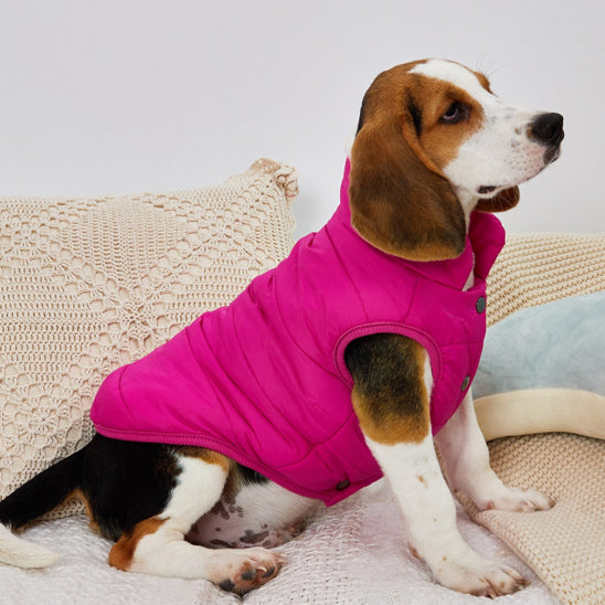manteau-pour-chien-leger-rose-cosytail
