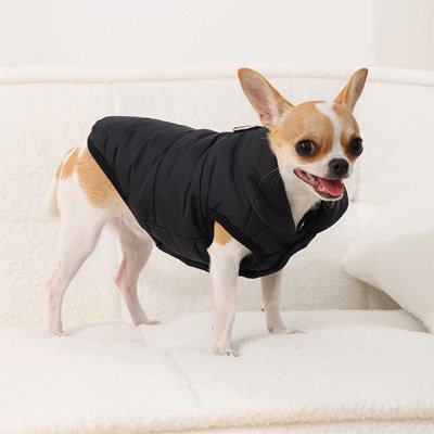 Manteau pour Chien noir thermique polaire chiwawa