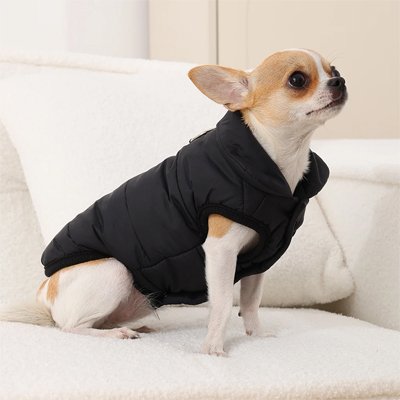 Manteau pour Chien noire thermique et chaud chiwawa 