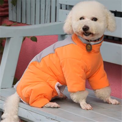 manteau-pour-chien-orange