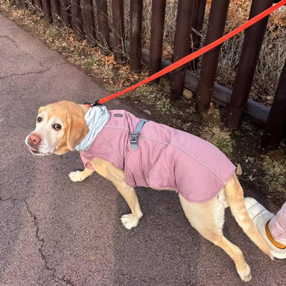 Manteau pour chien rose design col montant hiver 