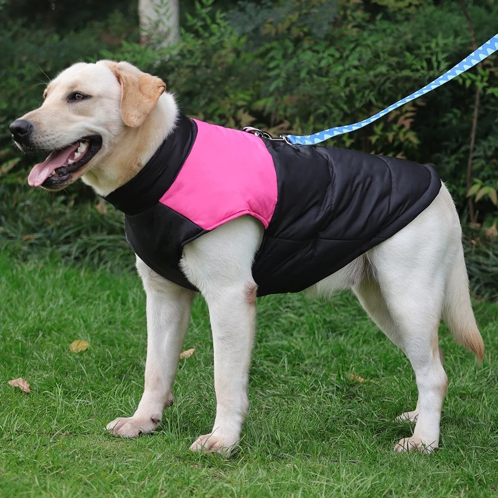 manteau-pour-chien-rose-doublure-chaude-rainkool