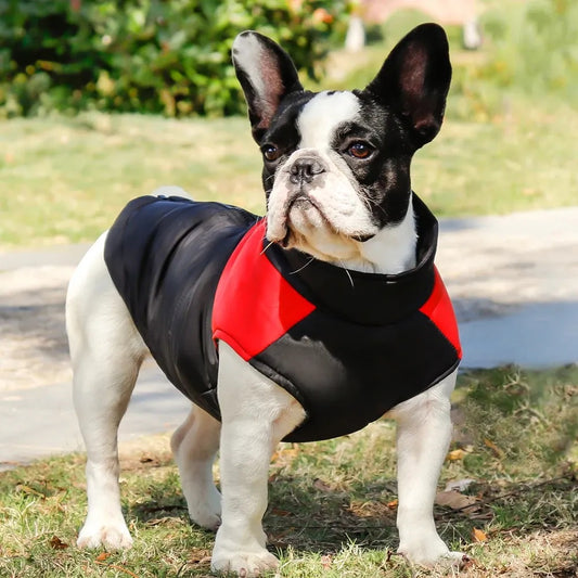manteau-pour-chien-rouge-hiver-protection-max-rainkool