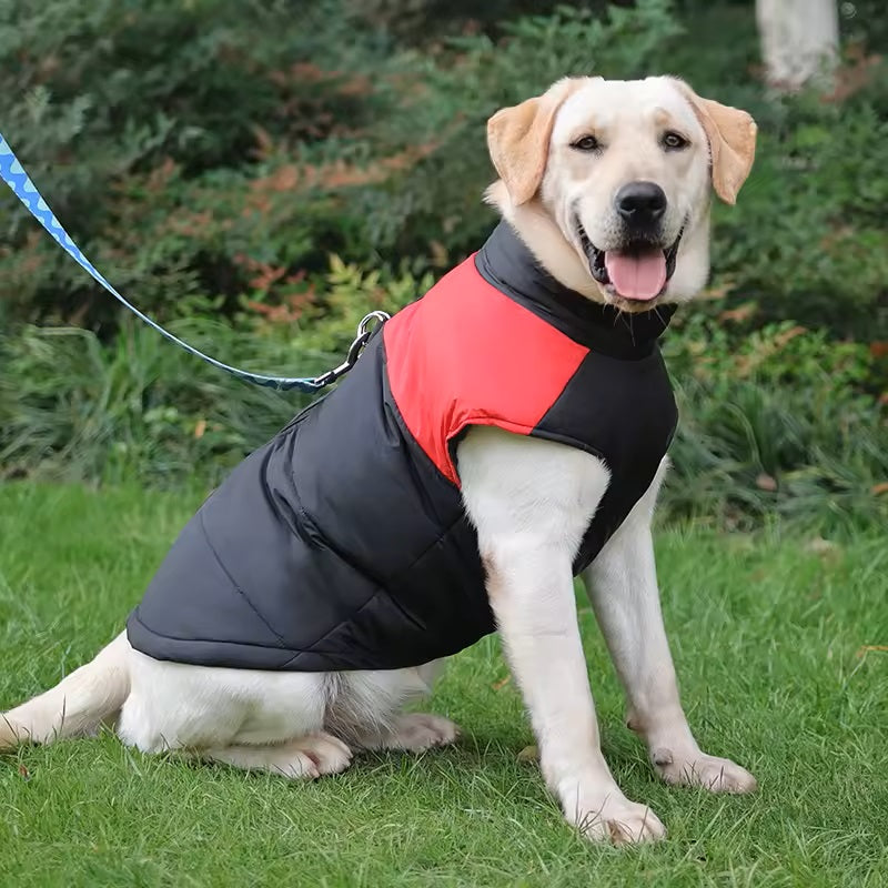 manteau-pour-chien-rouge-zip-facile-enfilage-rainkool