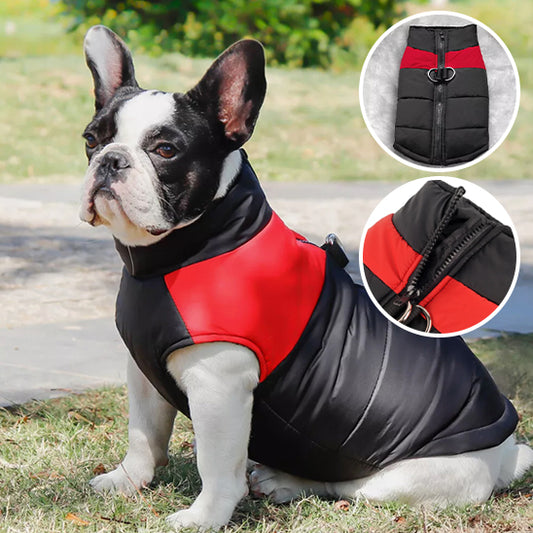 manteau-pour-chien-rouge