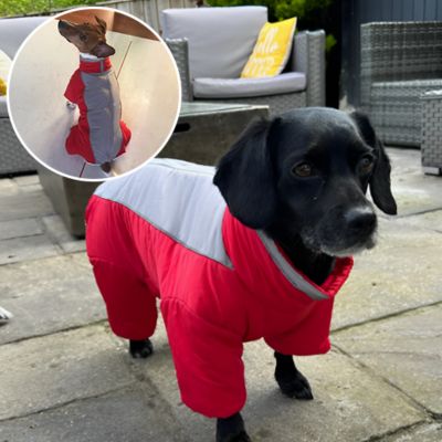 manteau-pour-chien-rouge