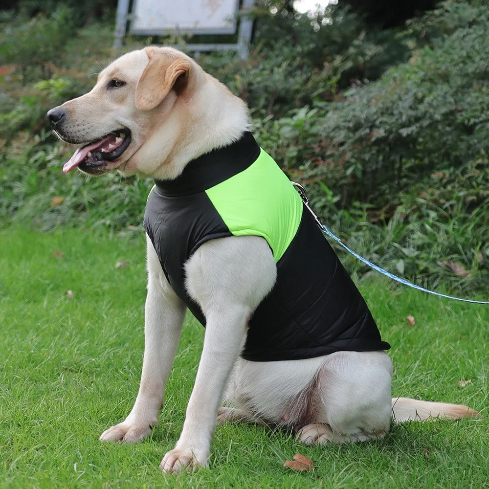 manteau-pour-chien-vert-impermeable-chaud-rainkool