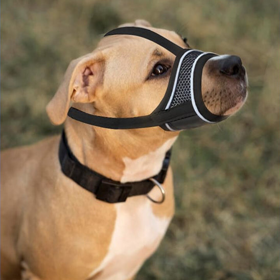 museliere-chien-ajustable