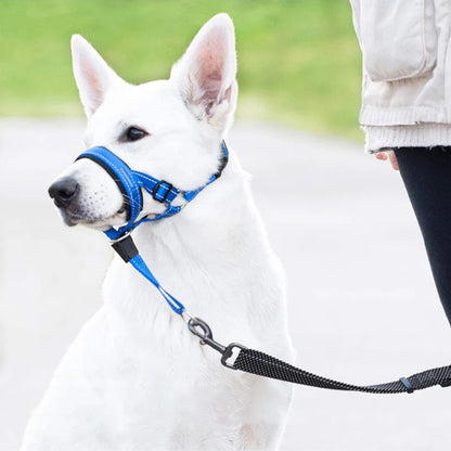 museliere-chien-anti-tirage