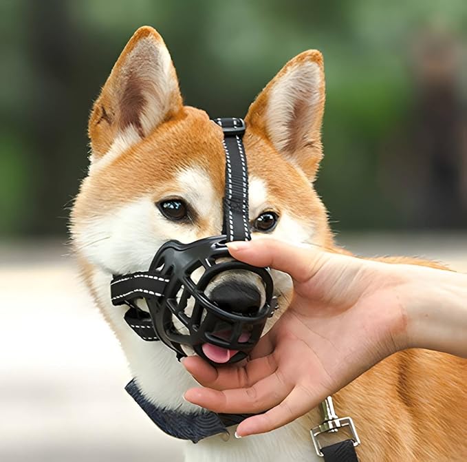 museliere-chien-balade-sereine-muzoconfort