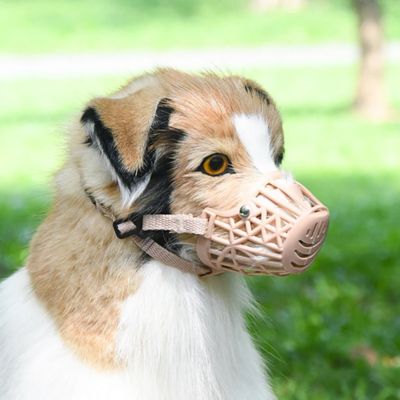 museliere-chien-confortable-respirante