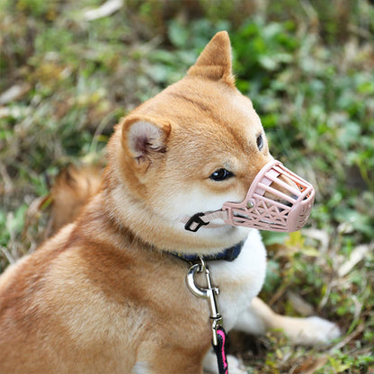 museliere-chien-grande-taille
