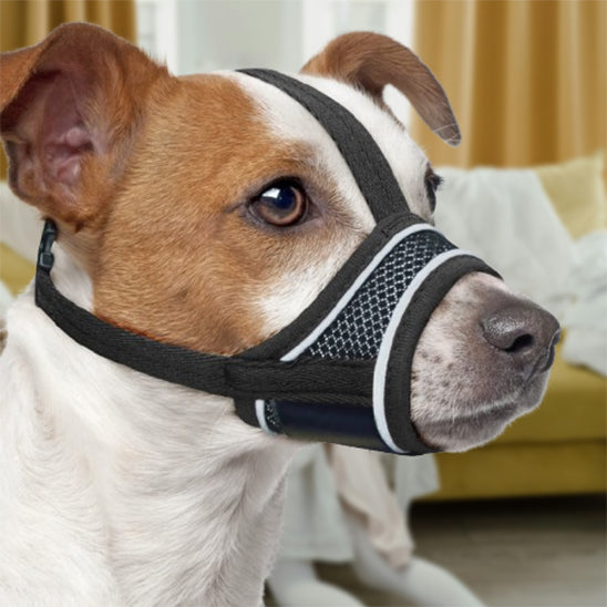 museliere-chien-halter-librement-muzorespi