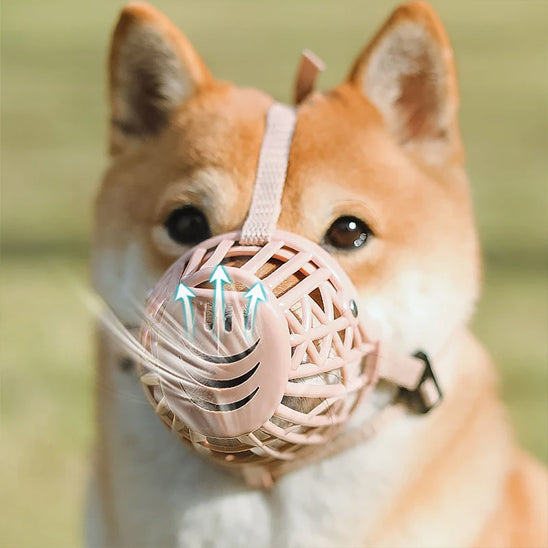 museliere-chien-legere
