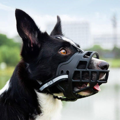 museliere-chien-sangles-reglables-muzoconfort