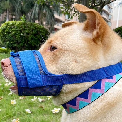 museliere-petit-chien-bleue-fermeture-velcro-muzosecure