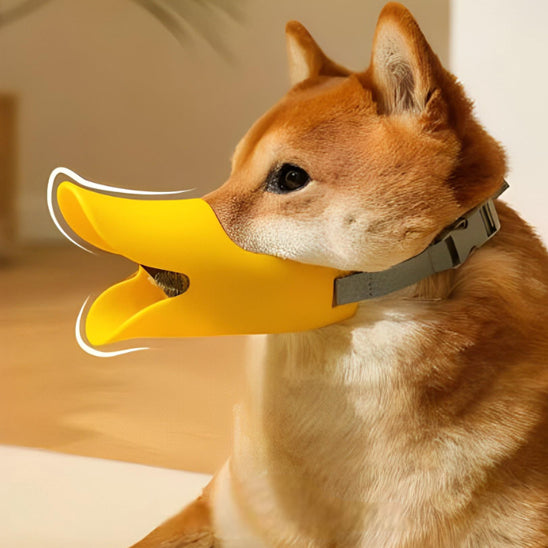 museliere-petit-chien-jaune-legere-silicone