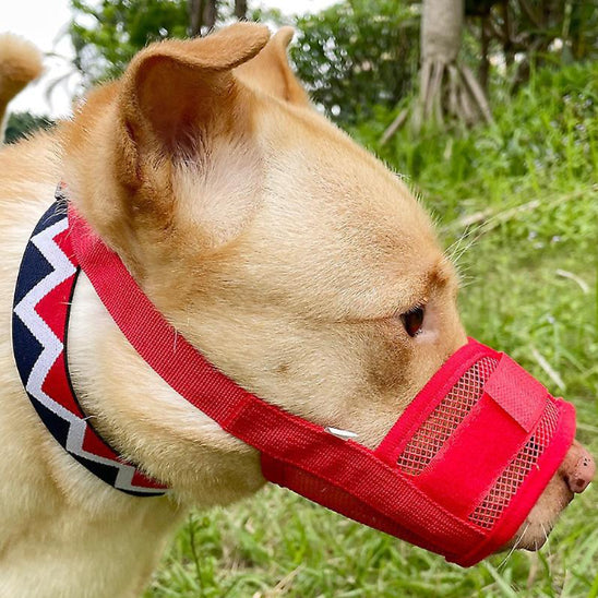 museliere-petit-chien-rouge-anti-irritation-muzosecure