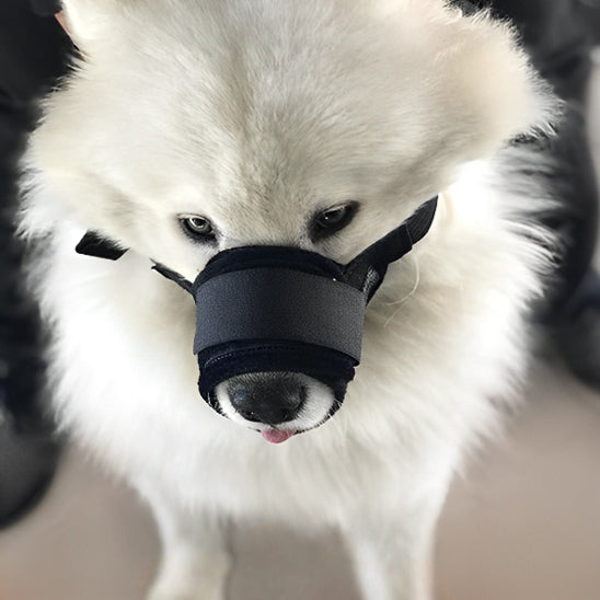 museliere-petit-chien-sangles-reglables