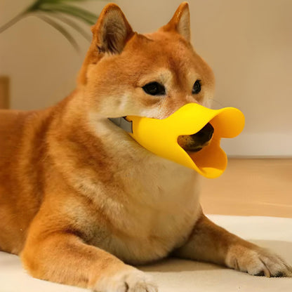 museliere-petit-chien-shiba-inu-guardmuzzle