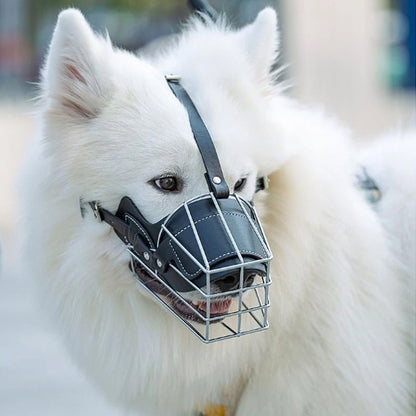 museliere-pour-chien-anti-morsure