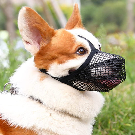 museliere-pour-chien-confortable