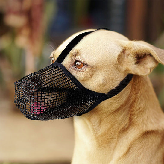 museliere-pour-chien-legere