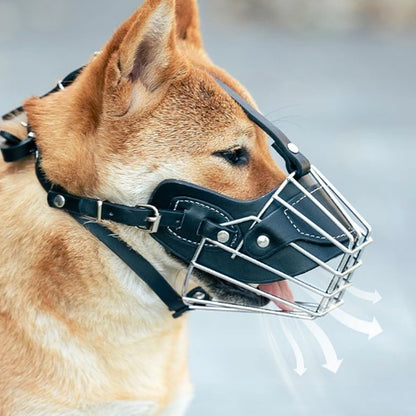 museliere-pour-chien-respirante