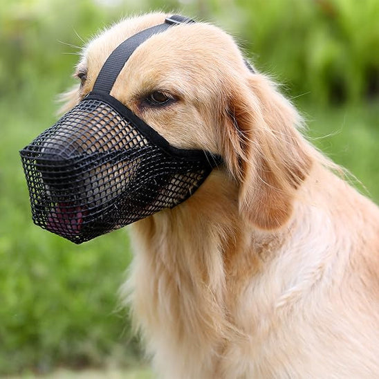 museliere-pour-chien-respirante