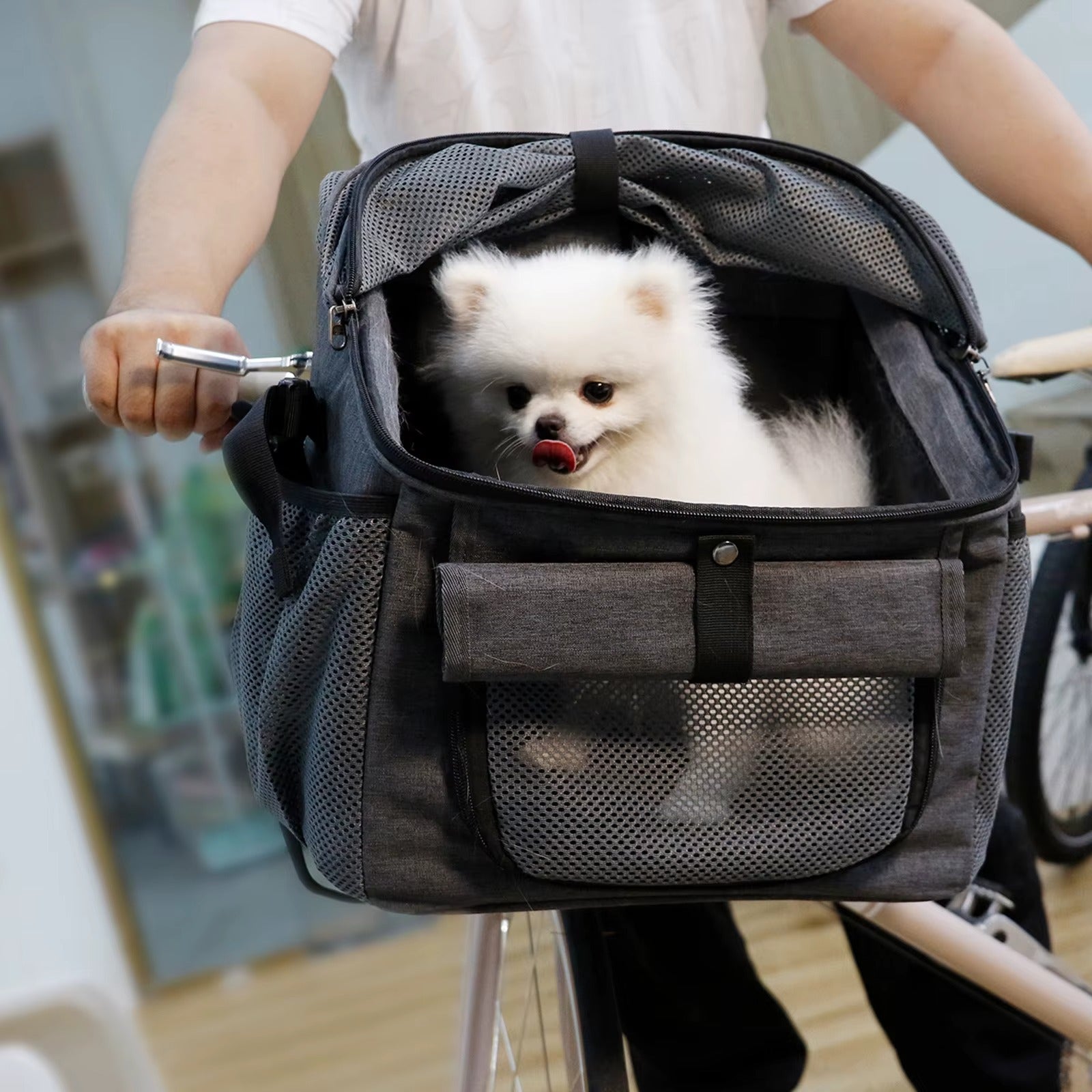 panier pour velo pour chien BikePaw securisant-pratique
