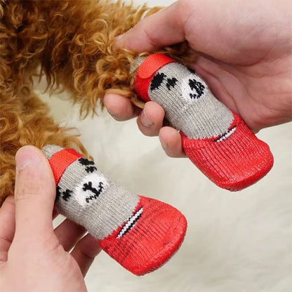 pattes-de-chien-avec-chaussure-chiens-rouge-motifs-ours-mignon
