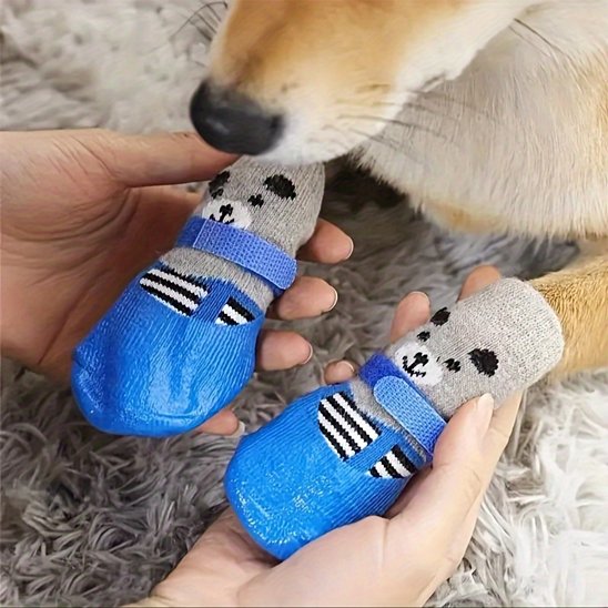 pattes-de-chiens-avec-chaussure-chiens-bleues-motifs-ours-mignon