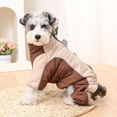Petit chien avec Habit pour Chien couleur café robuste confortable