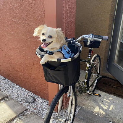 petit chien heureux dans Panier pour chien pour vélo