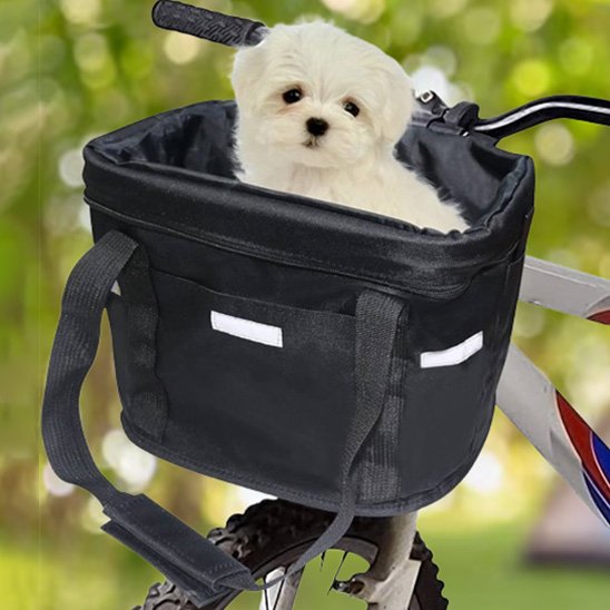 petit toutou dans Panier velo chien confortable 