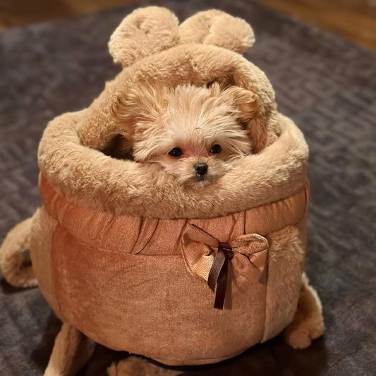Porte chien PawNest brun cocon doux