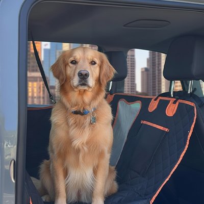 Protection chien voiture CabinPaw revêtement lavable attache réglable