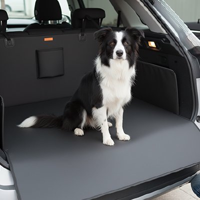 Protection chien voiture K9-Cargo boder collie en voiture 