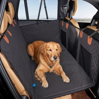 Protection voiture chien​ CanopyDog noir labrador voiture