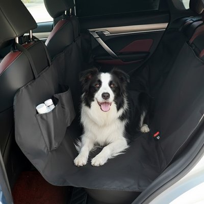 Protection voiture chien PawNGo toutou en voiture 